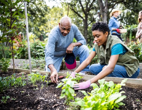 Community Garden