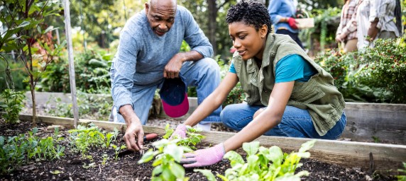 Community Garden