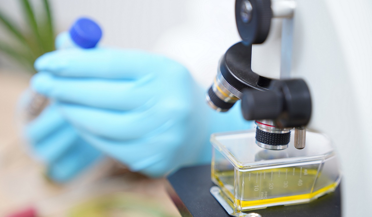 Hands in medical gloves holding a vial near a microscope.