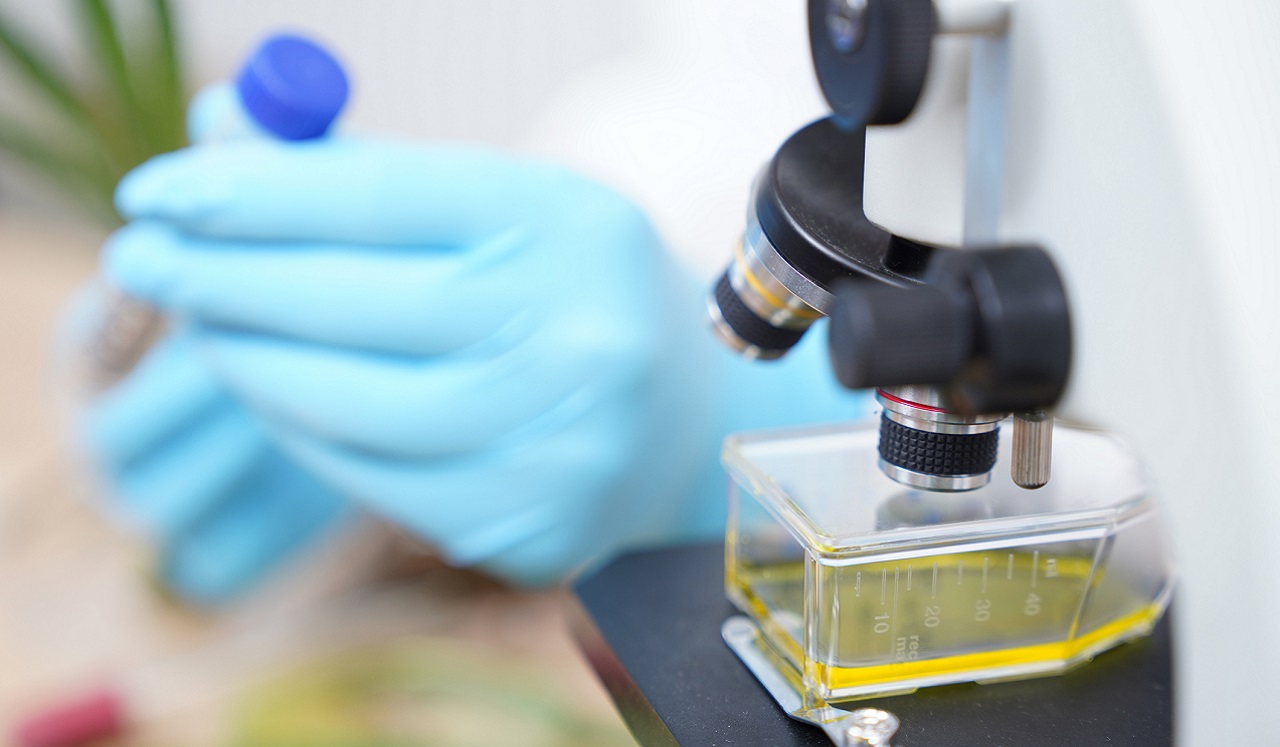 Gloved hands holding a vial near a microscope.