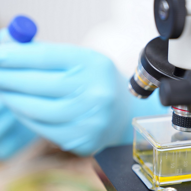 Hands in medical gloves holding a vial near a microscope.