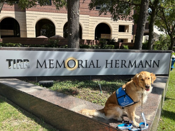 TIRR Memorial Hermann facility dog, Annie, poses with the TIRR logo.